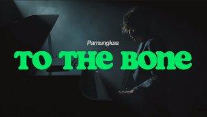 Chord & Lirik Lagu To The Bone - Pamungkas, Lengkap dengan Kunci Gitar