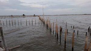 pagar-laut-di-Desa-Kohod-Pakuhaji-Tangerang-masih-berdiri-meski-Kades-Kohod-tersangka.jpg