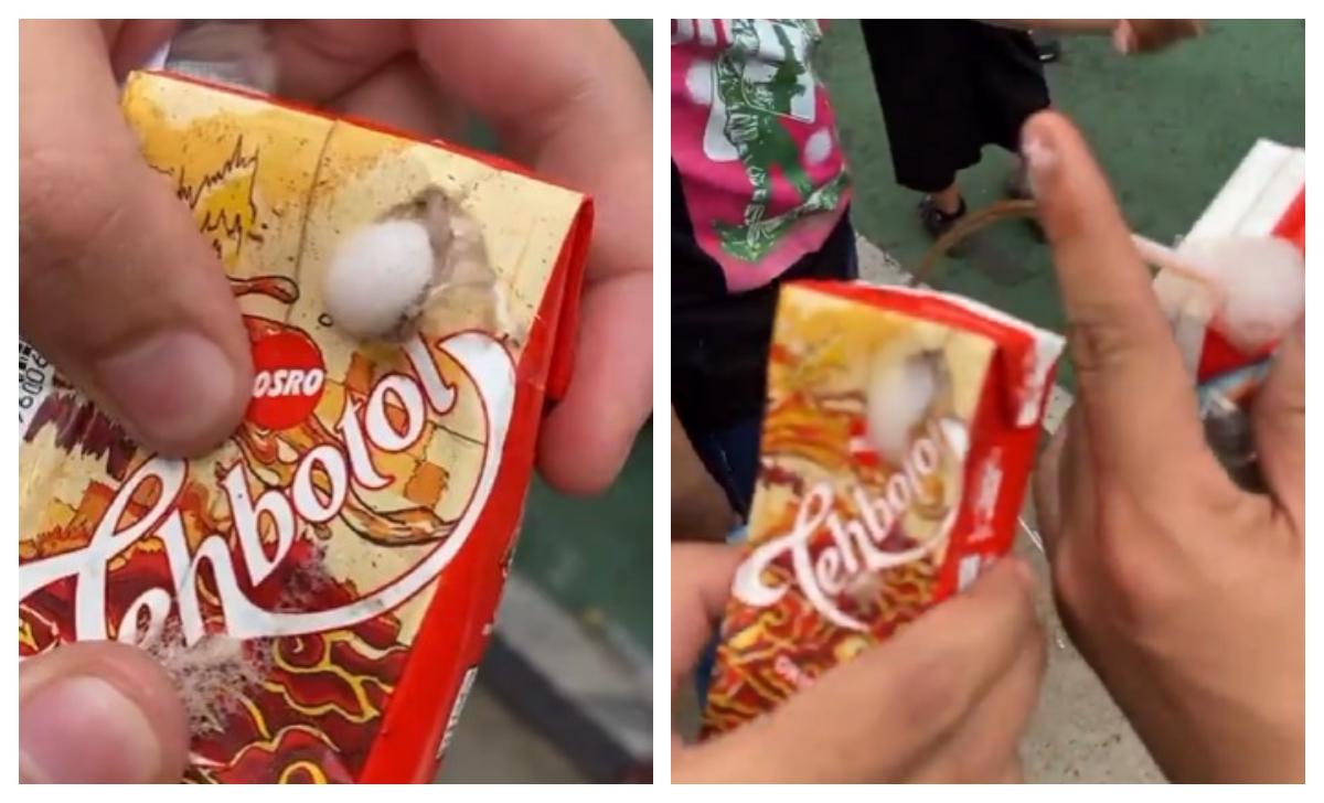 Geger Demo Jakarta: Teh Botol Sosro Bongkar Isu Minuman Berisi Sabun