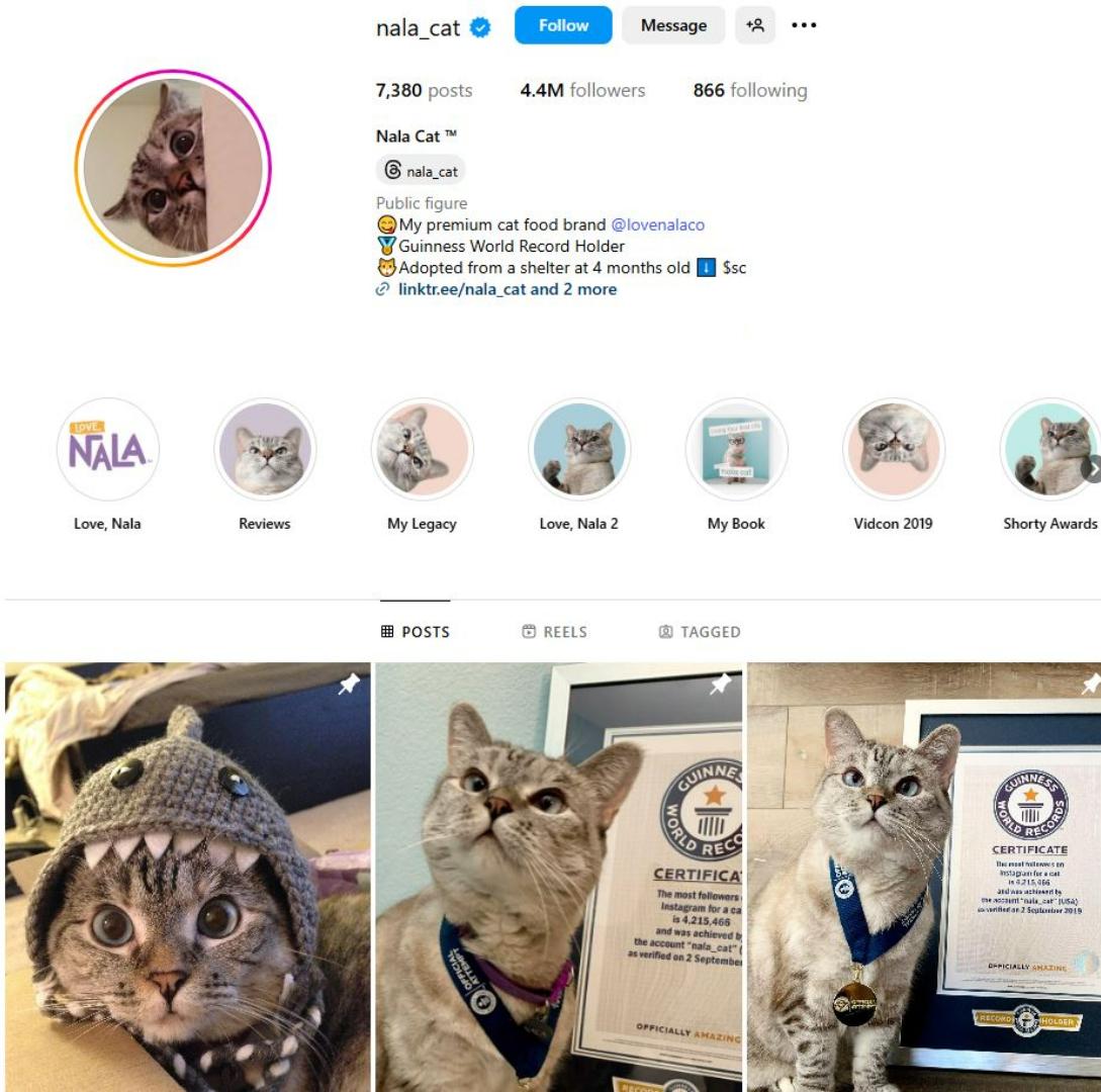 KUCING TERPOPULER - Tangkap layar laman akun kucing @nala_cat di Instagram. Inilah 10 kucing terpopuler di dunia.