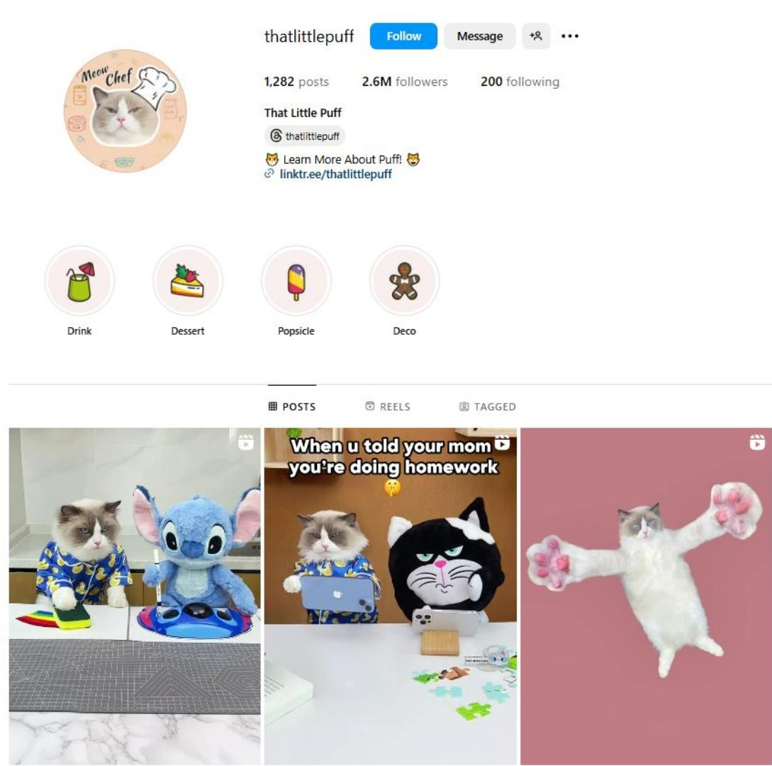 KUCING TERPOPULER - Tangkap layar laman akun kucing @thatlittlepuff di Instagram. Inilah 10 kucing terpopuler di dunia.