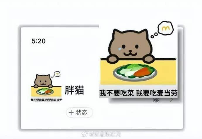 Avatar Fat Cat