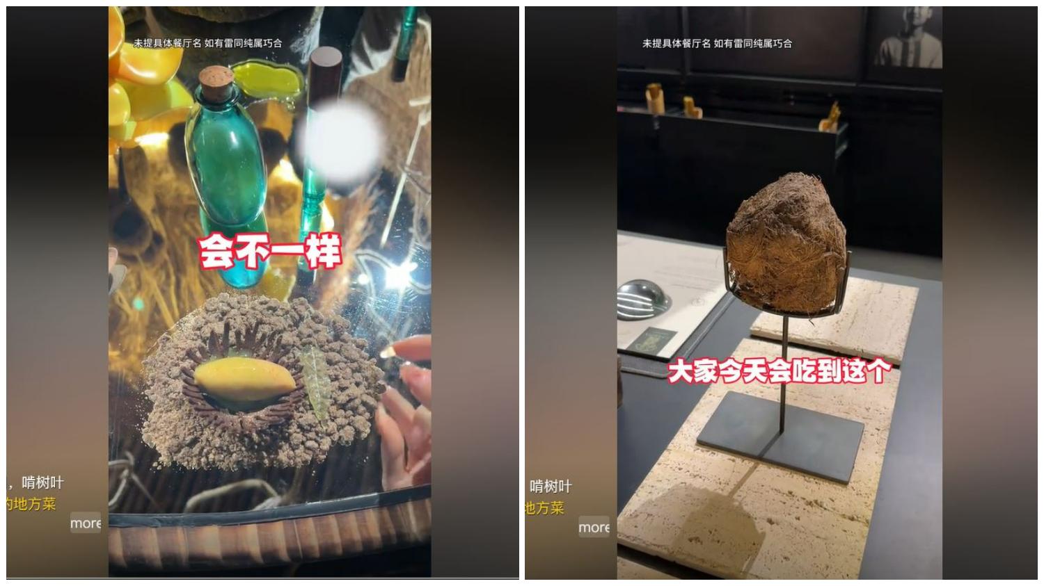 VIRAL DI CHINA - Tangkap layar Douyin yang diambil Tribunnews pada 18 April 2025, memperlihatkan kuliner ekstrem kotoran gajah di Shanghai. Restoran mematok harga Rp9 juta untuk hidangan ini beserta belasan hidangan lainnya