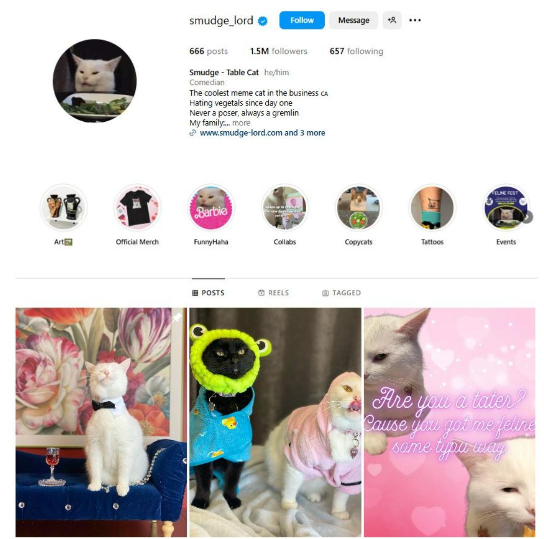 KUCING TERPOPULER - Tangkap layar laman akun kucing @smudge_lord di Instagram. Inilah 10 kucing terpopuler di dunia.