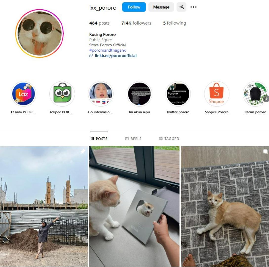 KUCING TERPOPULER - Tangkap layar laman akun kucing @lxx_pororo di Instagram. Inilah 10 kucing terpopuler di dunia.