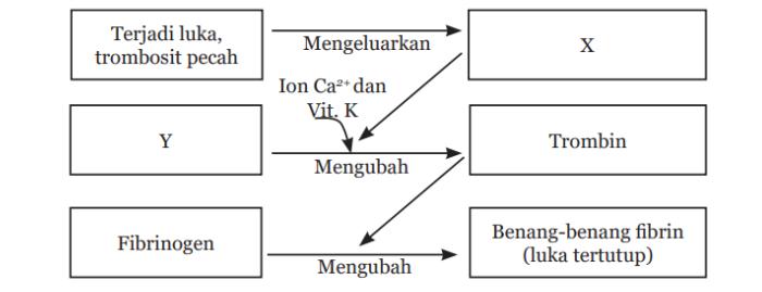 Soal IPA kelas 8 halaman 283 Kurikulum 2013