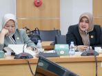 Pansus Utilitas, DPRD DKI Jakarta Dorong Percepatan Penataan Kabel 