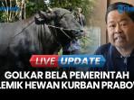 Polemik Hewan Kurban Prabowo Beli Pakai Dana APBN, Golkar Pasang Badan Bela Pemerintah
