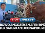 Prabowo Salurkan 1.098 Sapi Kurban Premium ke Seluruh Indonesia: Anggaran Tembus Rp100 Miliar