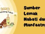 Sumber-Lemak-Nabati.jpg