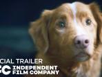Sinopsis Film Good Boy, Film Horror Thriller dari Sudut Pandang Seekor Anjing