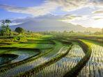 ilustrasi-jaga-alam-indonesia-pariwisata-dengan-pemandangan.jpg