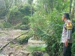 pasutri-di-Jember-diserang-babi-hutan.jpg