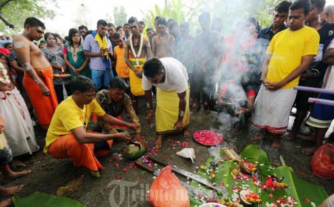 Panlang Ritual Umat Hindu Etnis Tamil Lakukan Ritual Pangguni Uttiram - TribunNews.com