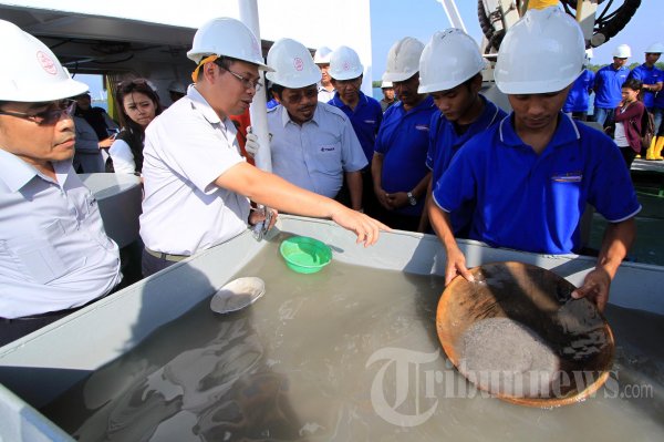 Kapal KM Geotin 3, Foto 5 #244831 - TribunNews.com