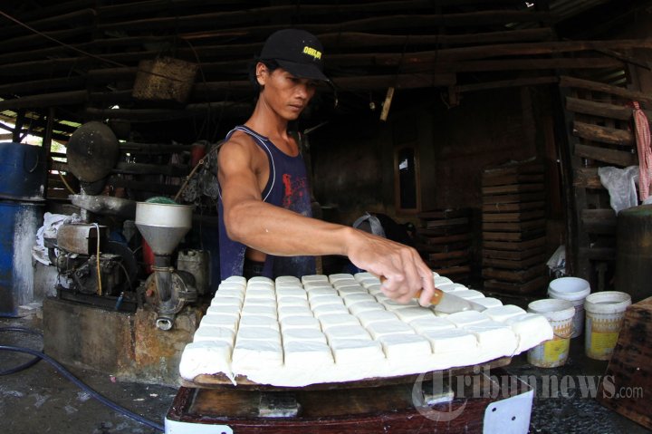 Proses Pembuatan Tahu di Pelambang, Foto 3 #752631 - TribunNews.com