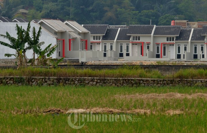 Perumahan Minimalis Kampung Patrol Bandung, Foto 3 #810841 - TribunNews.com