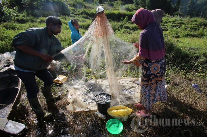 Berbagai olahan ikan depik dalam hidangan tradisional Aceh