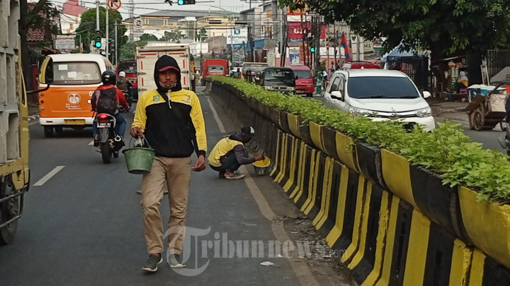 Pengecatan Beton Pembatas Pemisah Jalan, Foto 1 #1936360 - TribunNews.com