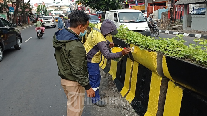 Pengecatan Beton Pembatas Pemisah Jalan, Foto 6 #1936365 - TribunNews.com