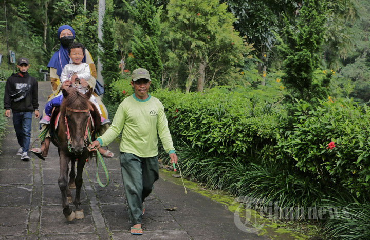 Wisata Alam Umbul Sidomukti, Foto 3 #1911646 - TribunNews.com