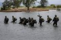Yonif 112 Raider Kodam IM Latihan…