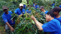 Panen-Raya-Kopi-Arabika-Bogor_20250505_224019.jpg