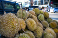 Pedagang Durian