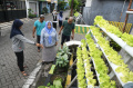 Urban-Farming-di-Kampung-Ijo-Kendangsari-Surabaya_20250224_183455.jpg