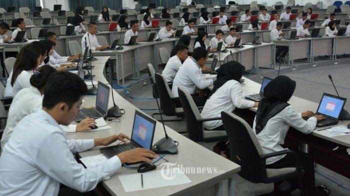 200 Ribu Formasi Fresh Graduate di Gelombang I CPNS 2024, Dibuka Juli-Agustus Mendatang