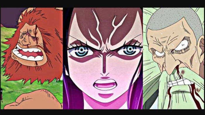 3 Alasan Nico Robin Adalah Keturunan Klan D dalam Serial One Piece, Disebut Punya Kehendak 'D'