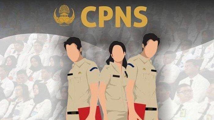 7 Pelamar Prioritas Diterima CPNS 2024, Ada Kategori Guru hingga Fresh Graduate