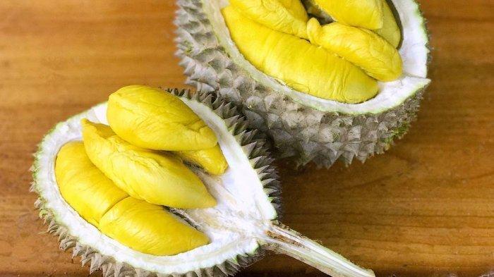 Ilustrasi Buah durian.