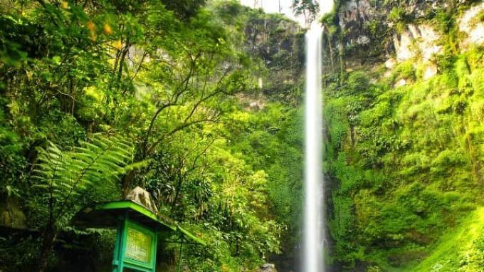 Pemandangan air terjun Coban Rondo