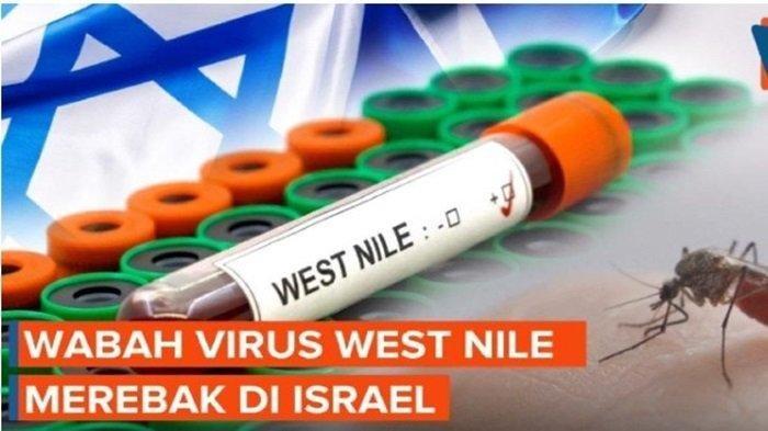 Apa Itu Virus West Nile ? Wabah Mematikan yang Melanda Israel hingga Tewaskan Warganya