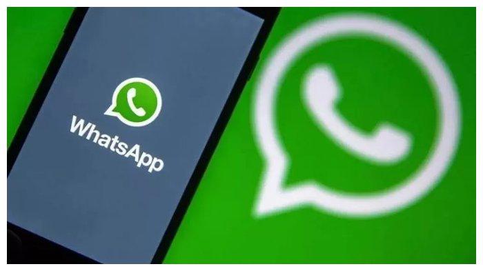 Simak cara memulihkan chat WhatsApp yang terhapus