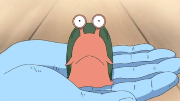 Baby Den Den Mushi dalam One Piece