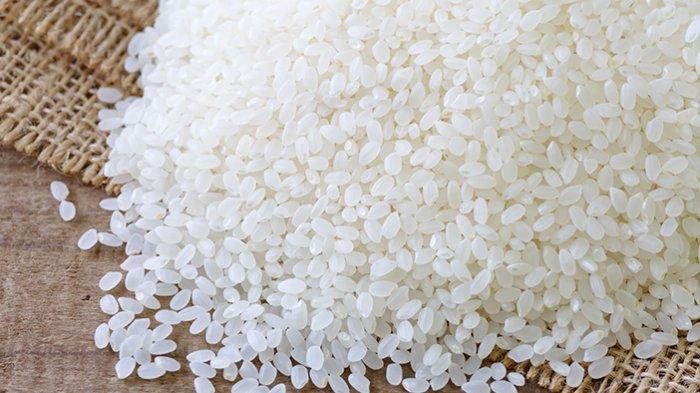 Ilustrasi beras