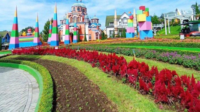 Berbagai jenis bunga tumbuh di Taman Bunga New Celosia