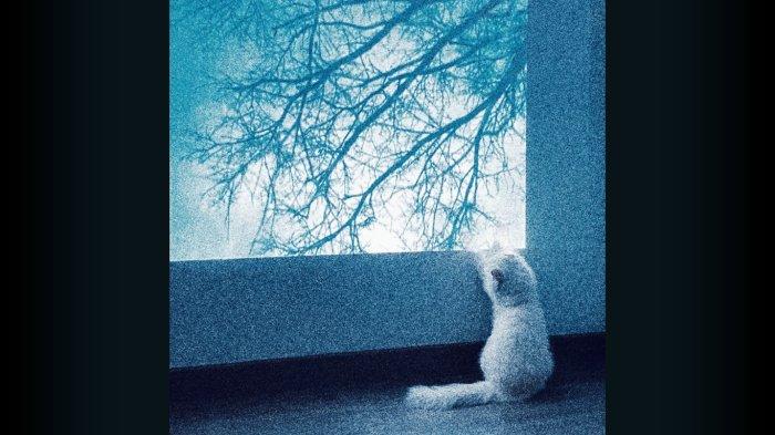 Chord Kunci Gitar dan Lirik Lagu Perayaan Mati Rasa - Umay Shahab: Bila Waktunya Langit Memanggilmu