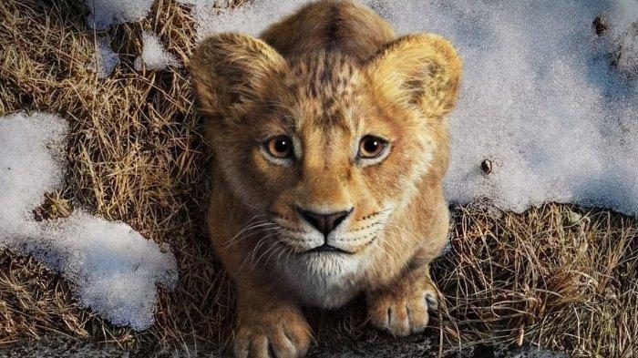 FILM - Mufasa: The Lion King