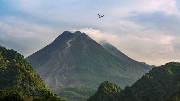 Dari Bukit Turgo, wisatawan bisa melihat Gunung Merapi dengan jarak dekat.