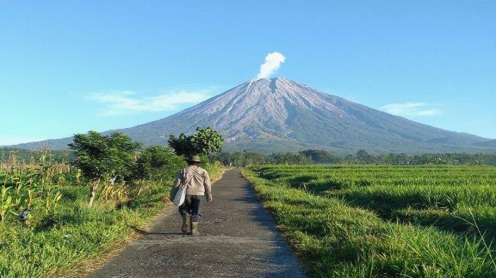 Gunung Semeru terlihat mengeluarkan asap dari dalam kawah.