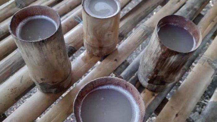 Ilustrasi tuak hasil fermentasi dari minuman legen