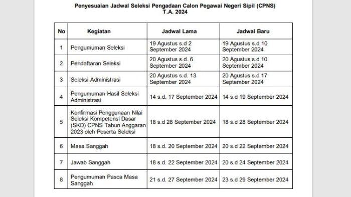 Jadwal CPNS 2024 Terbaru, Diperpanjang hingga 10 September 2024 Pukul 23.59 WIB