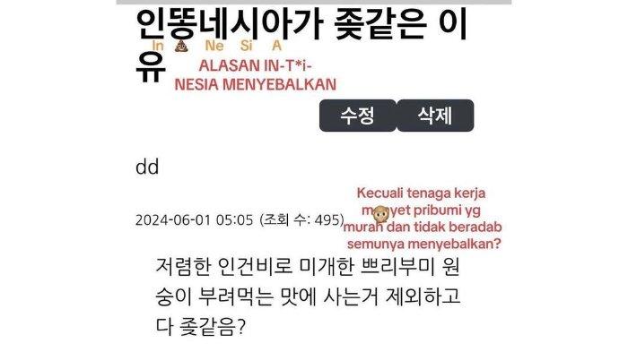 Kumpulan Hinaan Orang Korea ke Indonesia, Sebut Pribumi Monyet, Tolol, Item, Sampai Menghina Islam