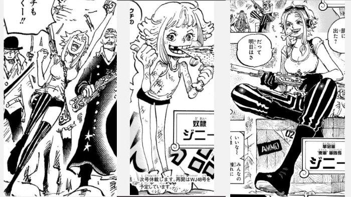 Ginny dalam serial One Piece