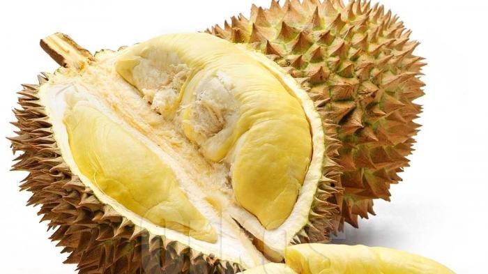 Ilustrasi Buah Durian