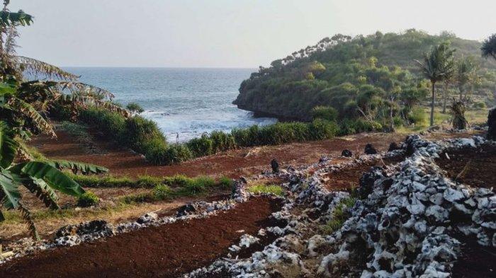 Pesona Pantai Mboyo jika dilihat dari atas tebing