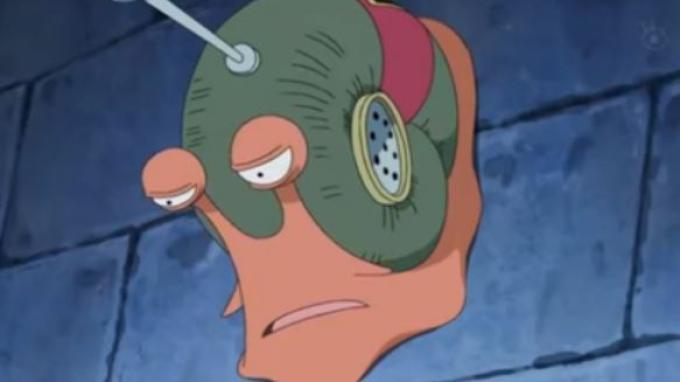 Pengawasan Den Den Mushi dalam One Piece